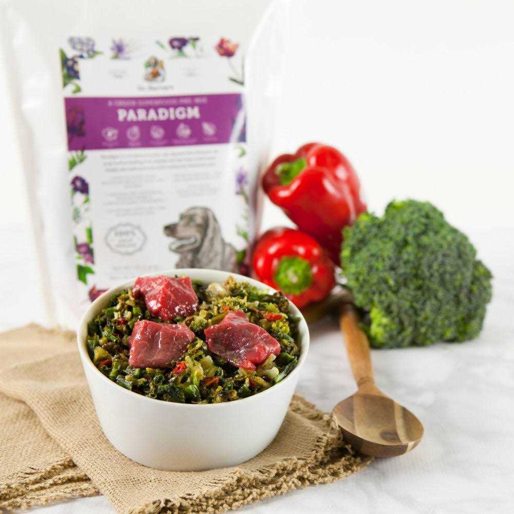 Dr. Harvey's Paradigm Superfood Pre-Mix Dog Food - Pet Supplies online store