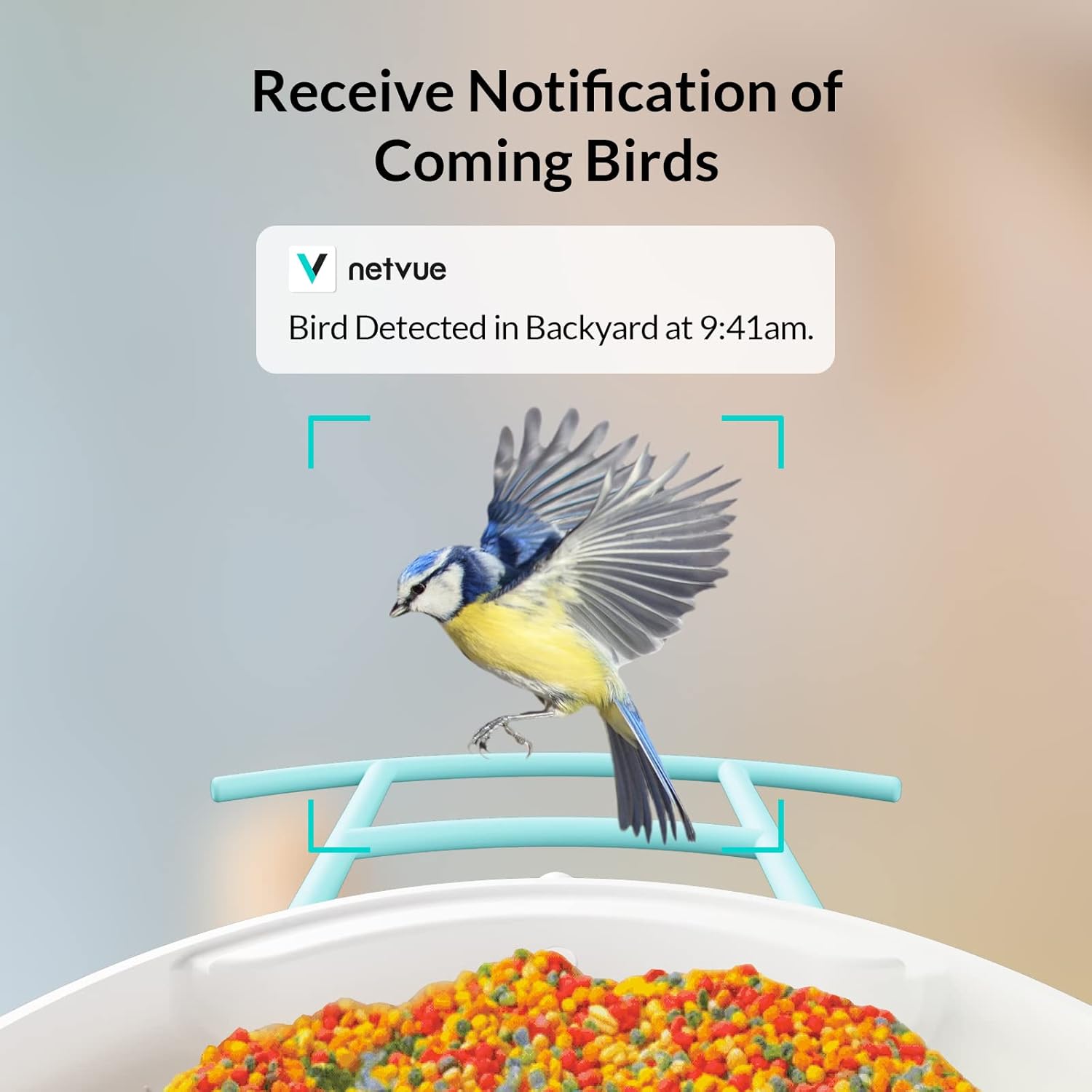 NETVUE Birdfy Solar Camera with Humming Bird Feeder Extension Perch