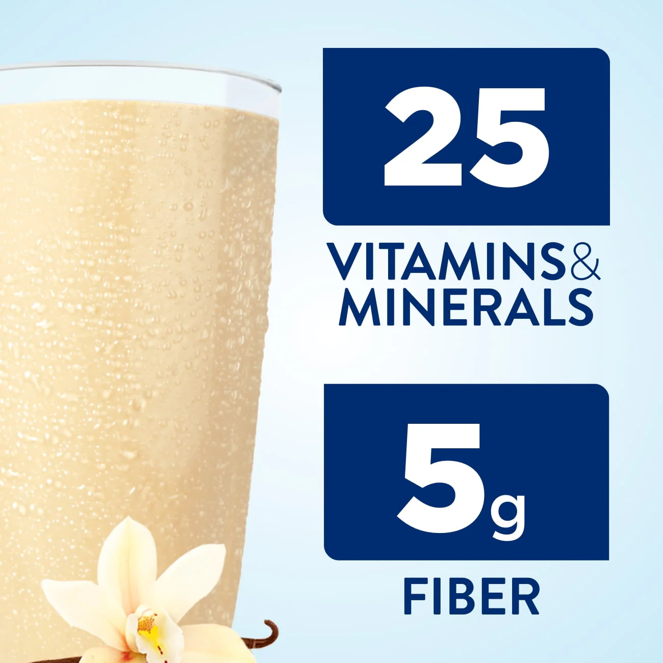 Ensure Plant-Based Vegan Protein Vanilla Nutrition Shake | 12 Pack