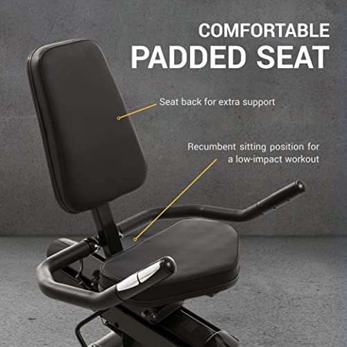 XTERRA Fitness Recumbent Bike