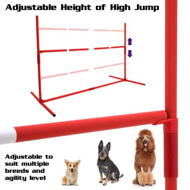 SP Dog 6 Piece Agility Kit - Pet Supplies online store