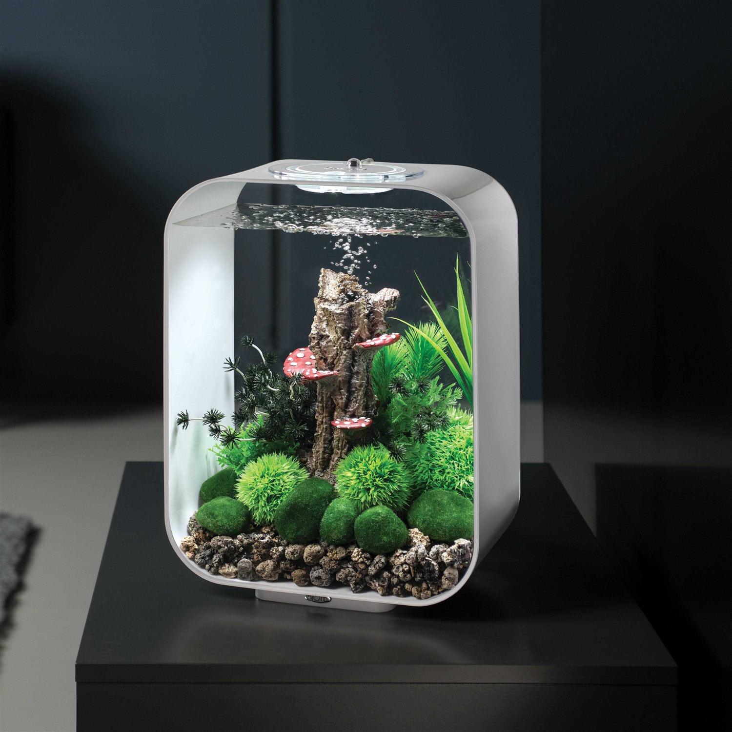 biOrb Life 15 Aquarium with MCR Light - Pet Supplies online store