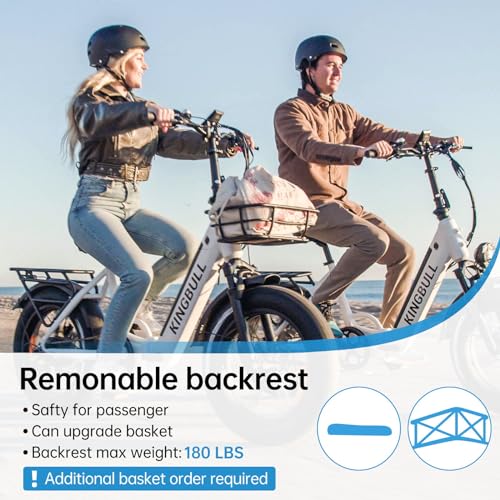 Electric Bike, Peak 1000W Motor 48V 17.5Ah Electric Bike for Adults, 28MPH 60Miles Range Commuter Electric Bicycle, CST 20"x 4.0" Electric Bicycle