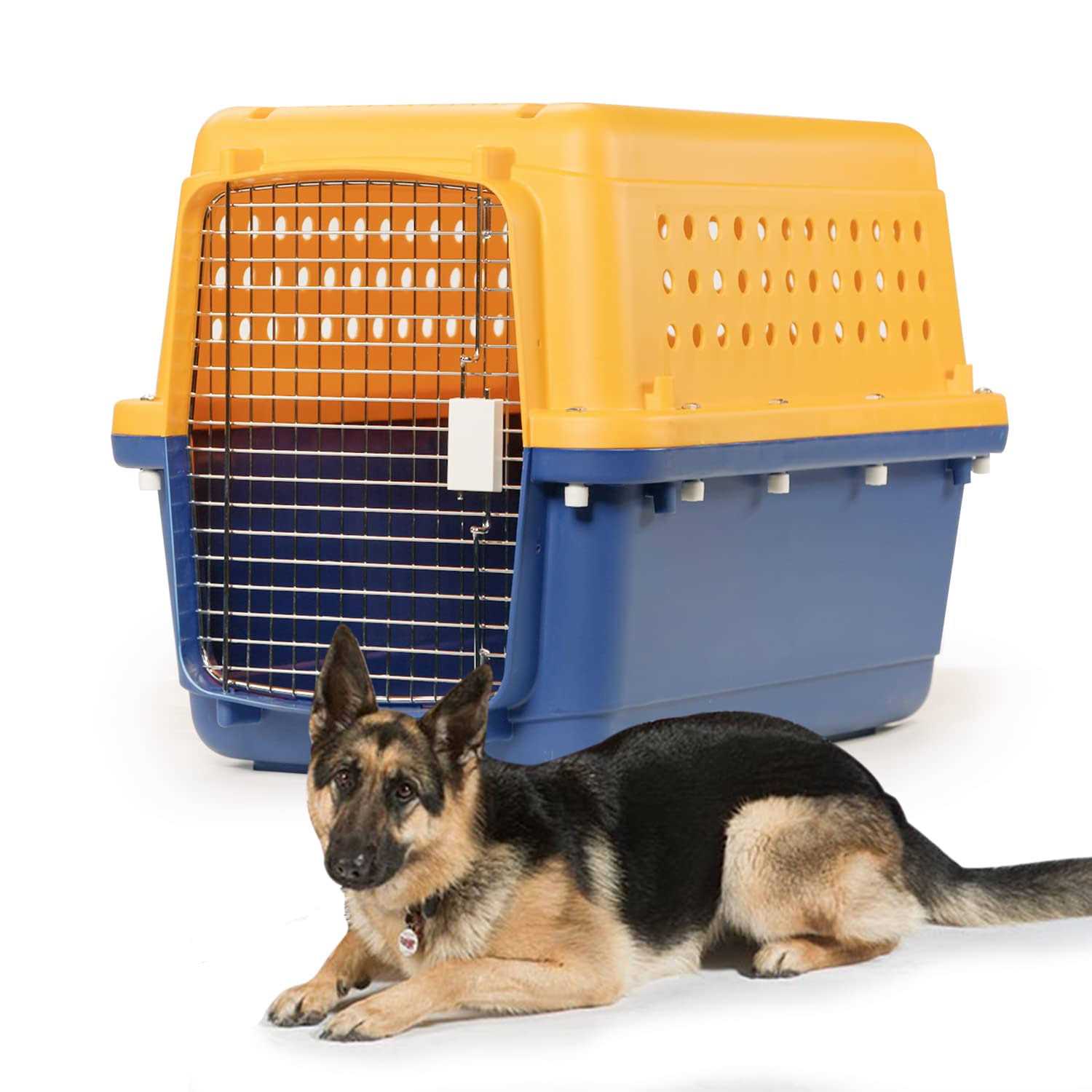 Pet-express Pet Crate Durable, Heavy Duty Dog Cat Kennel, Iata Airline Approved Pet Carrier, Pet Palace Dog Kennel, Travel Dog and Cat Crate - Pet Supplies online store
