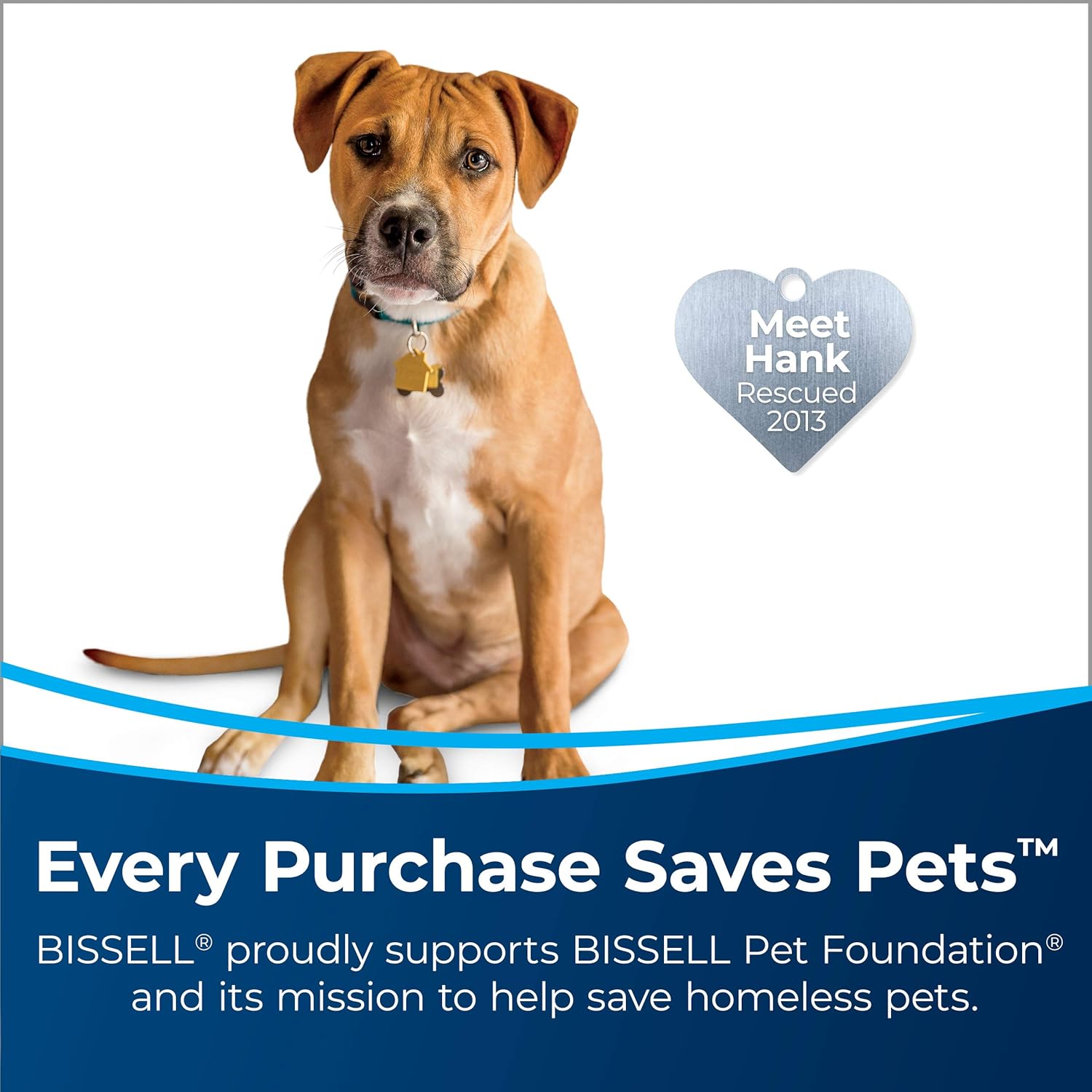 BISSELL 2-in-1 ProHeat 2X Lift-Off Pet: Portable Spot & Stain Cleaner + Full Size Carpet Cleaner, Car/Auto Detailer, 15651