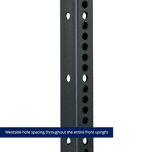 Titan Fitness T-3 Series 82-inch Wall Mounted Folding Power Rack, Space Savings Rack, Folds up to 5" from The Wall
