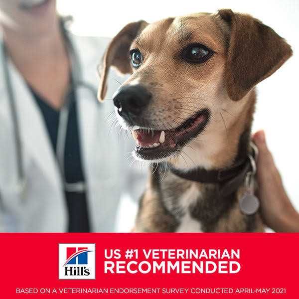Hill's Science Diet Adult Sensitive Stomach &amp; Skin Small Bites Dry Dog Food - Pet Supplies online store