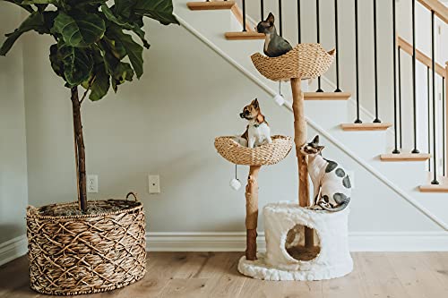 MAU Modern Cat Tree Tower for Large Cats, Real Branch Luxury Cat Condo, Wood Cat Tower, Cat Scratching Tree, Cat Condo, Cat Lover Gift, Luxury Cat, Cat Gifts by Mau Lifestyle