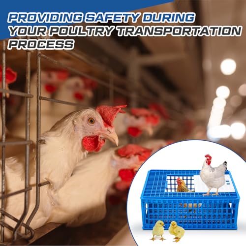 2 Pcs Poultry Carrier Crate 3 Door Chicken Transport Cage Plastic Poultry Carrier Basket Box for Chicken Duck Goose Birds, 29.53 x 21.65 x 11.42 Inch(Blue)