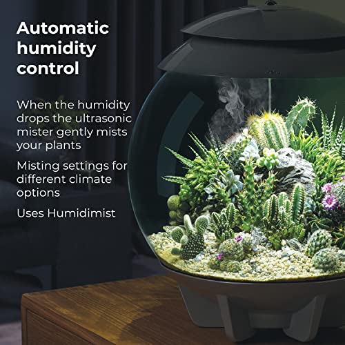 biOrb AIR 30, Automated Acrylic Terrarium for Desert or Tropical Plants, Black