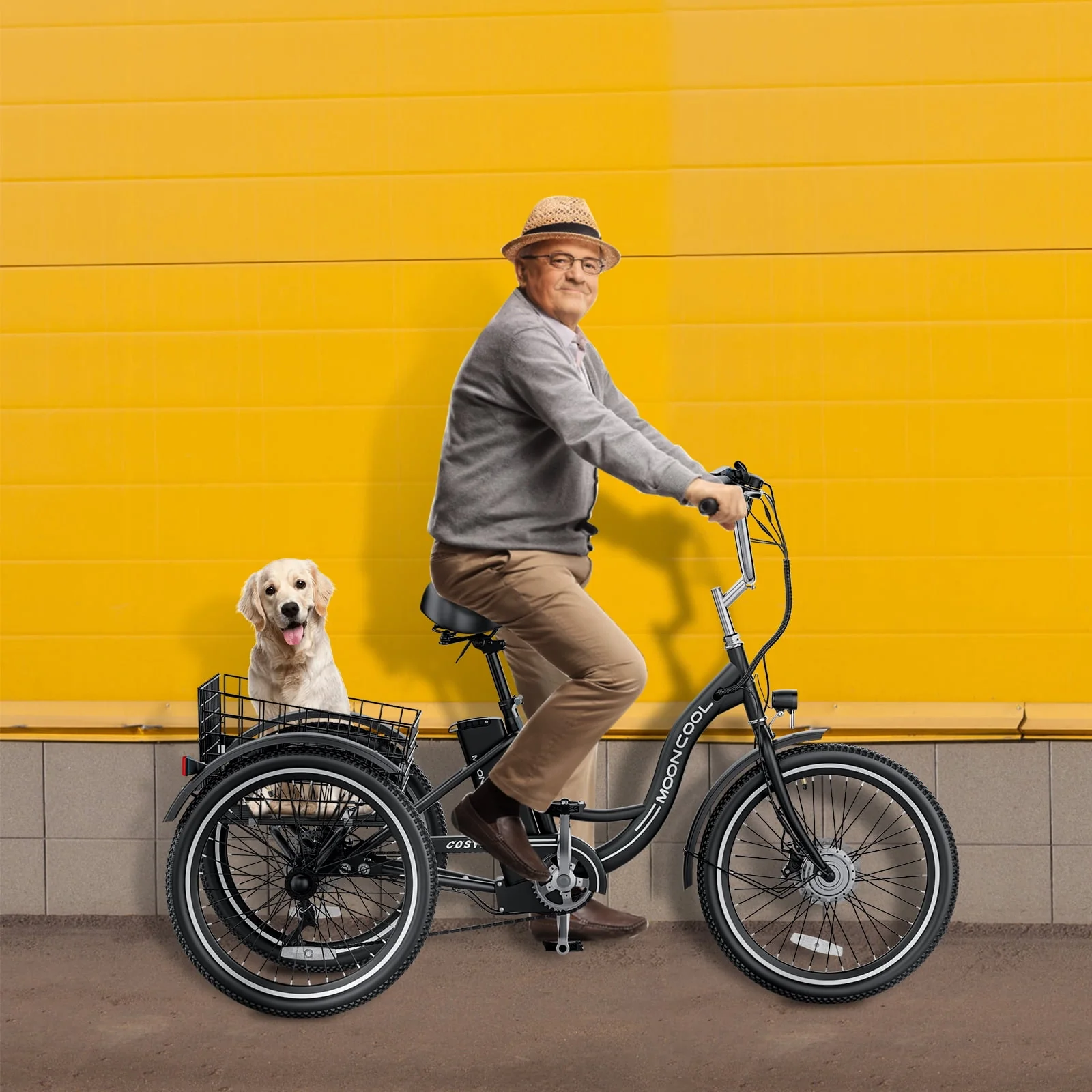Lilypelle Adult Electric Tricycles,3 Wheel Electric Bike,15.5 Mph Electric Trikes for Seniors,7-Speed & 4 Adjustable Riding Modes Electric Tricycle With Removable Lithium Battery