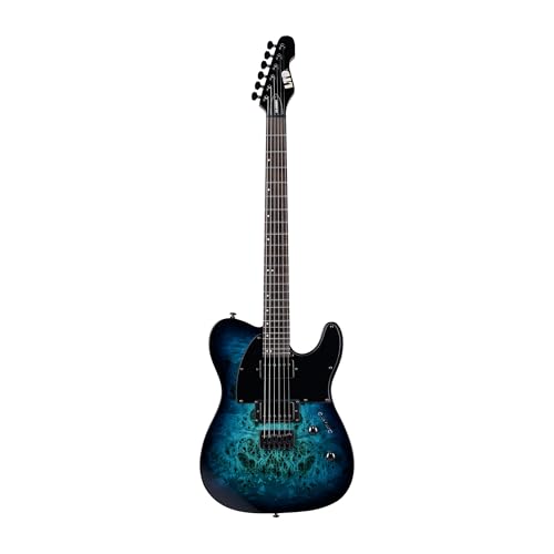 ESP LTD TE-200DX Electric Guitar - Purple Burst