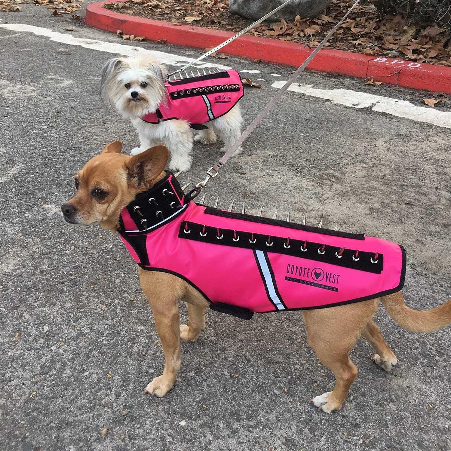 CoyoteVest SpikeVest Dog Harness Vest Reflective Dog Accessories with Spikes to Shield Your Pet from Raptor and Animal Attacks - Pet Supplies online store