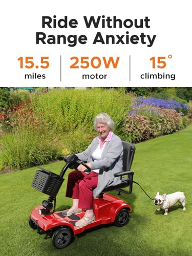 ENGWE Folding 4 Wheel Mobility Scooter,15 Mile Long Range, 250W Electric Powered Mobile Wheelchair for Seniors Adult with Detachable Basket, Front Light (Blue, Large Cushion)