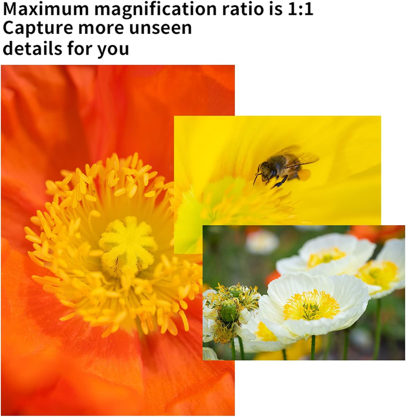 7artisans 60mm F2.8 II Manual Focus APS-C Macro Lens for Fujifilm X-Mount X-A1 X-A2 X-A3 X-A5 X-T1 X-T2 X-T3 X-T10 X-T20 X-T30 X-E1 X-E2 X-E3 X-Pro2 X-Pro3 Cameras