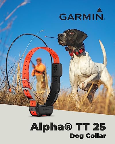 Wearable4U - Garmin Alpha 300 Handheld, Advanced Dog Tracking and Training Handheld, Touchscreen with E-Bank Bundle