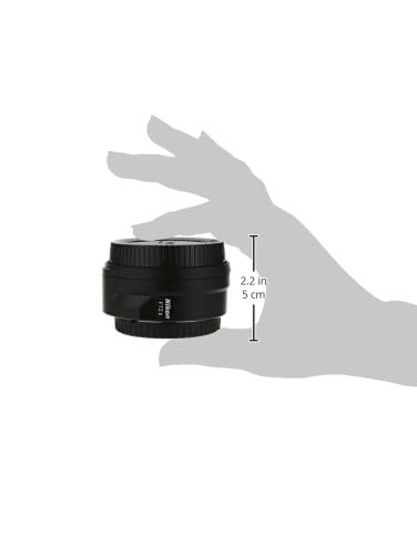 Nikon FTZ II Lens Mount Adapter for Z Series Cameras | Use DSLR Lenses with Nikon mirrorless Cameras | Nikon USA Model