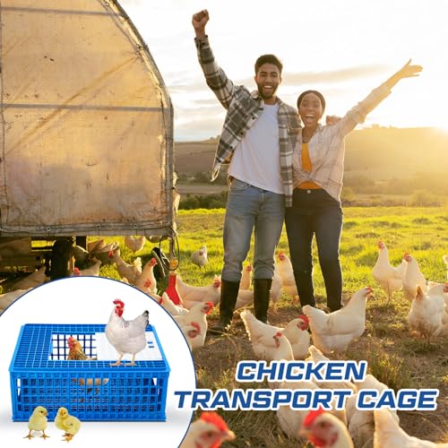 2 Pcs Poultry Carrier Crate 3 Door Chicken Transport Cage Plastic Poultry Carrier Basket Box for Chicken Duck Goose Birds, 29.53 x 21.65 x 11.42 Inch(Blue)