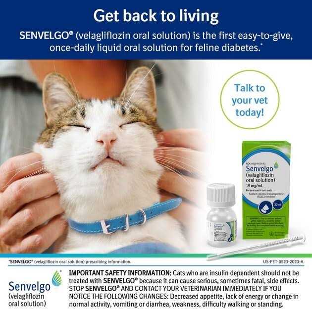 Senvelgo Oral Solution for Cats 15mg/ml - Pet Supplies online store