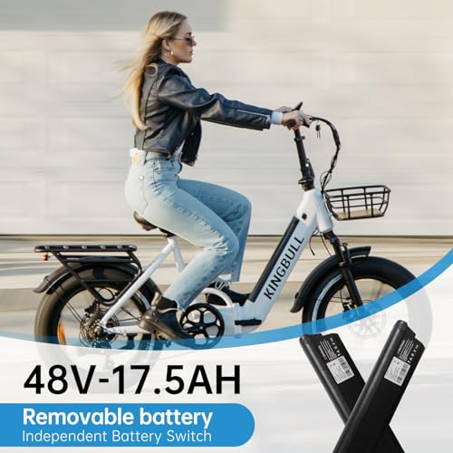 Electric Bike, Peak 1000W Motor 48V 17.5Ah Electric Bike for Adults, 28MPH 60Miles Range Commuter Electric Bicycle, CST 20"x 4.0" Electric Bicycle