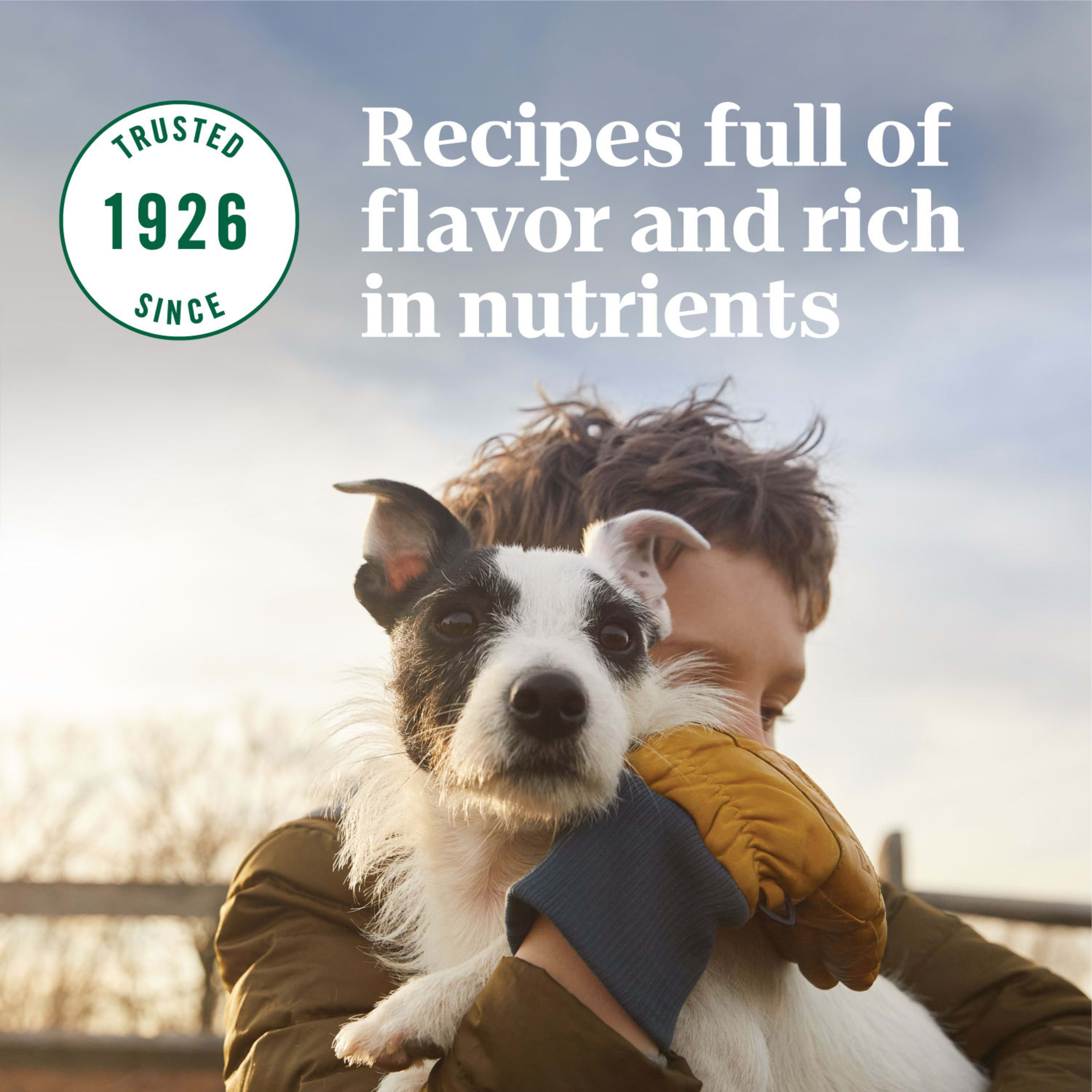Nutro Natural Choice Senior Dry Dog Food, Lamb & Brown Rice Recipe Dog Kibble, 30 lb. Bag