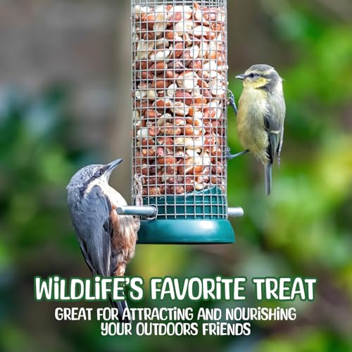 Premium Quality-50 Pound- Raw Peanuts in Shell – All-Natural Food for Squirrels, Deer, Birds, and Other Wildlife Animals – Bulk Wholesale Bag – Grown in The USA for Healthy Nutrition