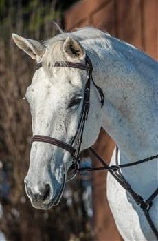 Nunn Finer Florence Bridle, Havana
