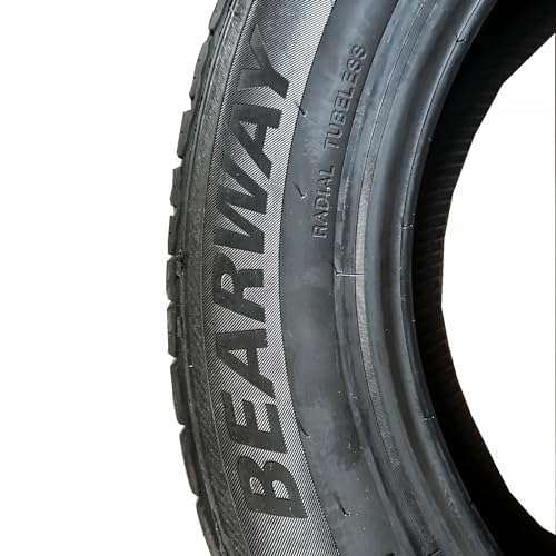 All Season Radial Tire 225/60R17 4PR+BW 99H (225/60R17)