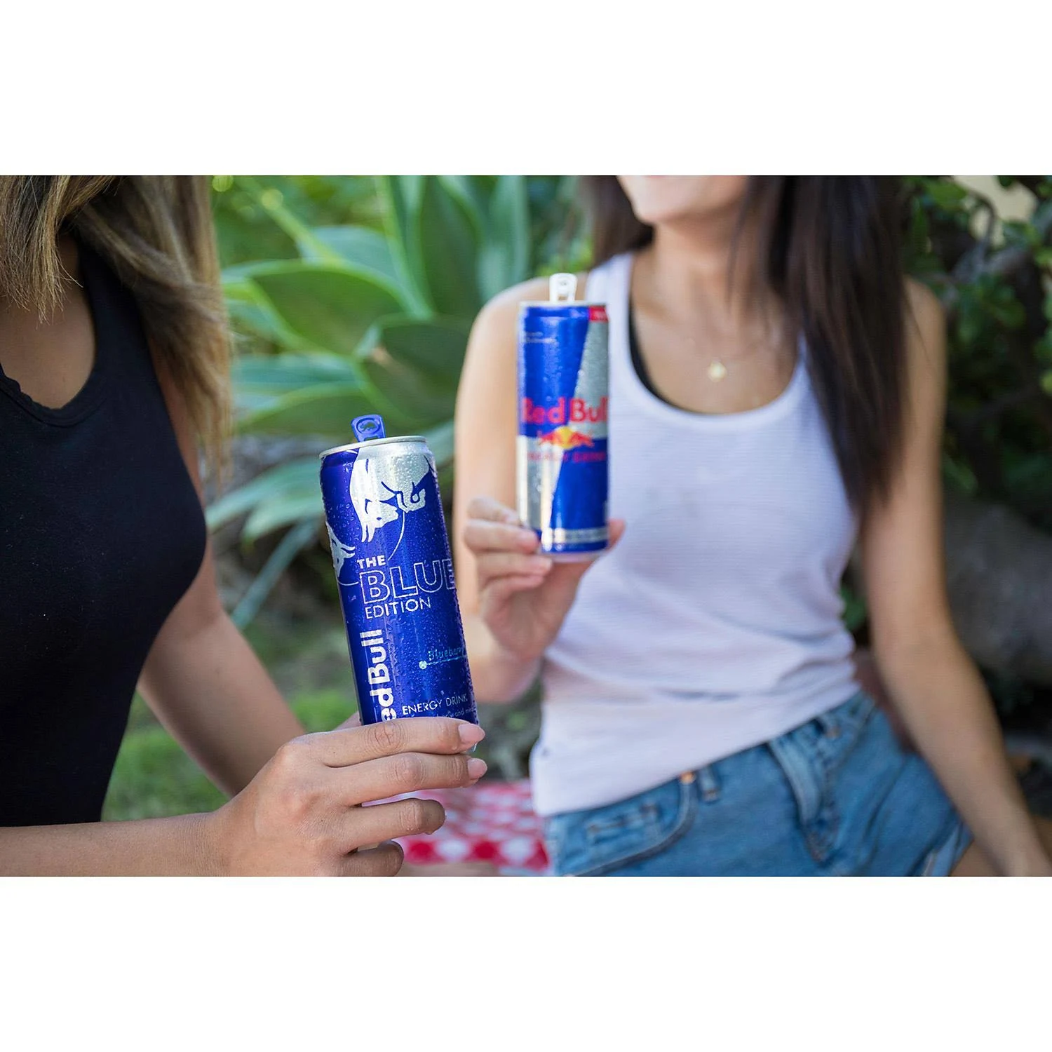 Red Bull The Blue Edition Energy Drink - 24 pack, 8.4 oz cans