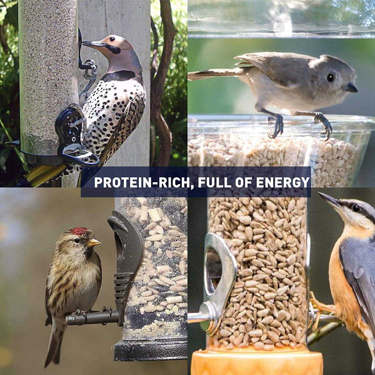 EASYGO PRODUCTS Sunflower Kernels Sun Flower Chips Wild Bird Food 50 lb - Pet Supplies online store