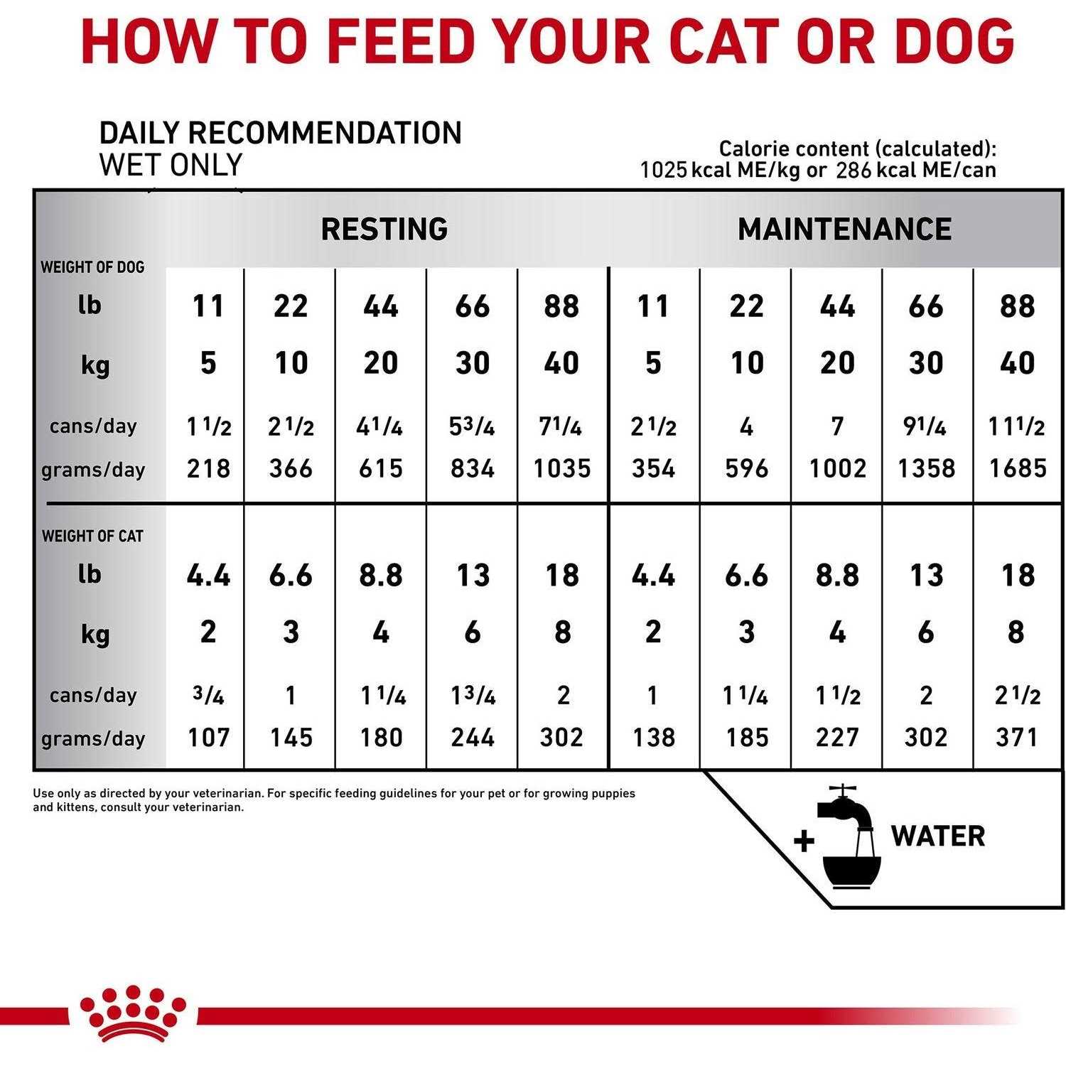 Royal Canin Veterinary Diet Recovery Ultra Soft Mousse in Sauce Wet Dog &amp; Cat Food - Pet Supplies online store