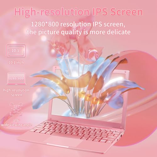 Svikou【Win11 Pro/Office 2019 10.1-inch Mini Laptop Celeron N4020, Quad Core 8GB RAM, 256GB SSD, Built-in Webcam, WiFi, HDMI, Easy to Carry, Suitable for Children and Adults,Gray