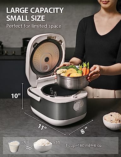 Toshiba Rice Cooker Induction Heating 5.5 Cups Stainless Steel rice cookers