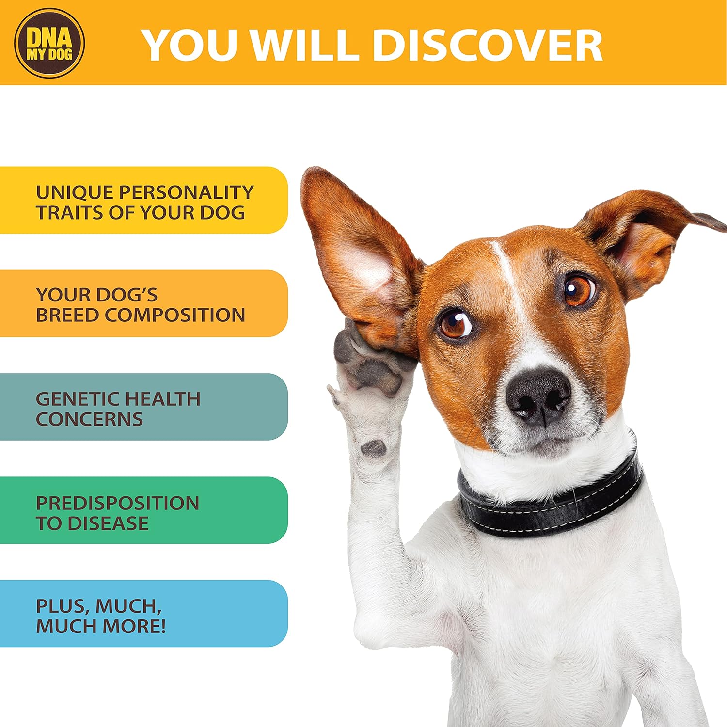 Dna My Dog Canine Breed Identification Test