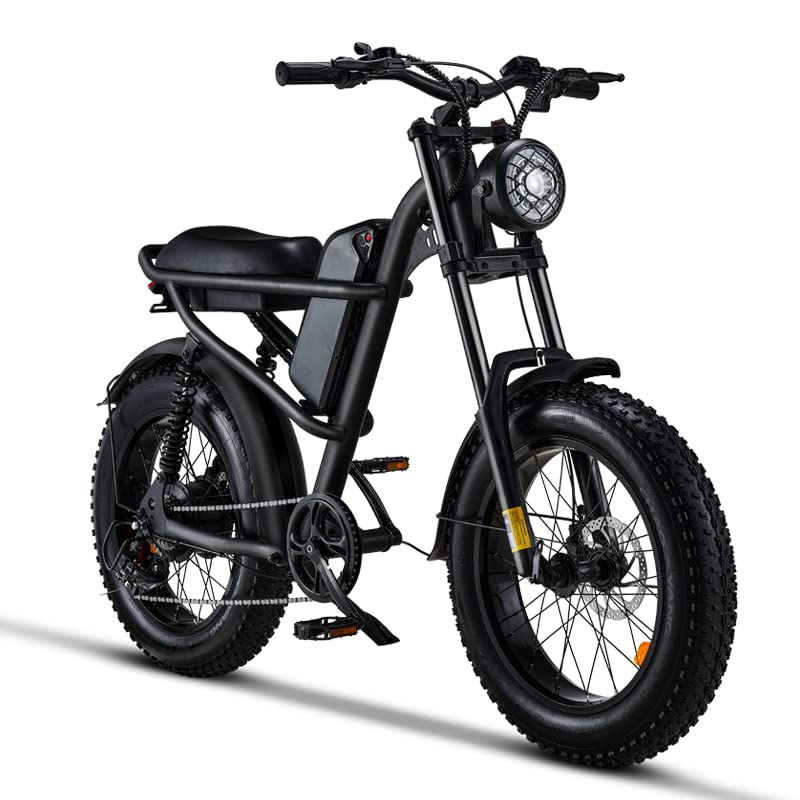 Riding'times 1500W Moped Style Electric Bike, 20 Inch Fat Tire & 6-Layer Full Suspension Ebike, Up to 28MPH & 75 Miles, 15.6AH Removable Battery, All-Terrain E Bike for Mountains, Snow, Sand, Road