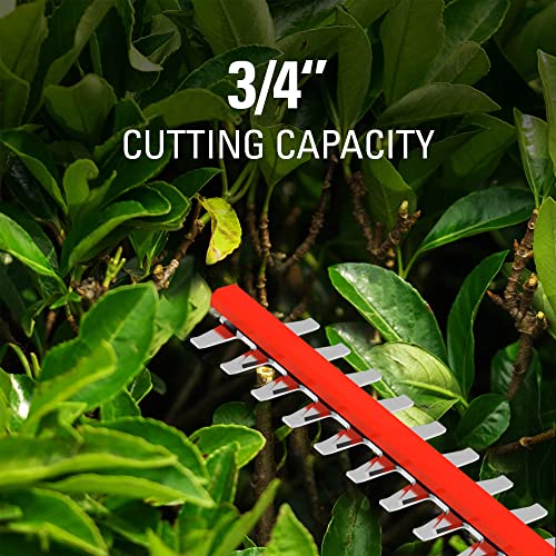 Greenworks 40V 24" Cordless Hedge Trimmer, 3.0Ah Battery and Charger Included