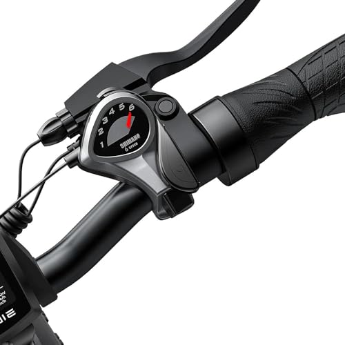 ENGWE Electric Bike for Adults, Foldable 1125W Peak Motor Ebike, 28Mph 80Miles Commuter E Bike with 52V 13AH Removable Battery, 20" x 3.0 Fat Tire Folding Electric Bicycle