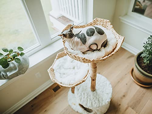 MAU Modern Cat Tree Tower for Large Cats, Real Branch Luxury Cat Condo, Wood Cat Tower, Cat Scratching Tree, Cat Condo, Cat Lover Gift, Luxury Cat, Cat Gifts by Mau Lifestyle