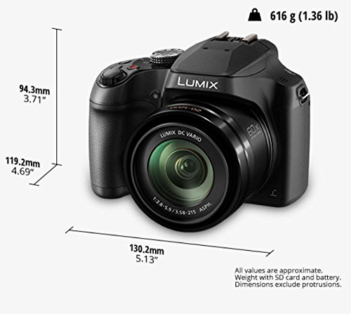 Panasonic LUMIX FZ80D Compact Camera with 20-1200mm Zoom Lens, Point and Shoot Digital Camera with 4K Video/Photo Recording and Power Optical Image Stabilizer - DC-FZ80D