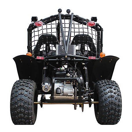 200cc Go-Kart, 2 Seater, GKA 200 BL