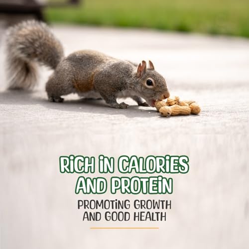 Premium Quality-50 Pound- Raw Peanuts in Shell – All-Natural Food for Squirrels, Deer, Birds, and Other Wildlife Animals – Bulk Wholesale Bag – Grown in The USA for Healthy Nutrition