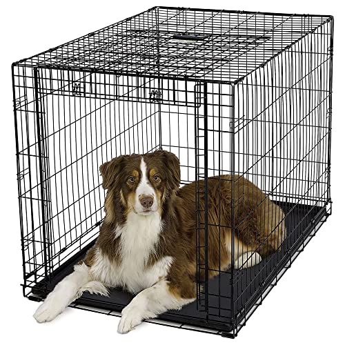MidWest Homes for Pets Ovation Single Door Dog Crate, 42-Inch