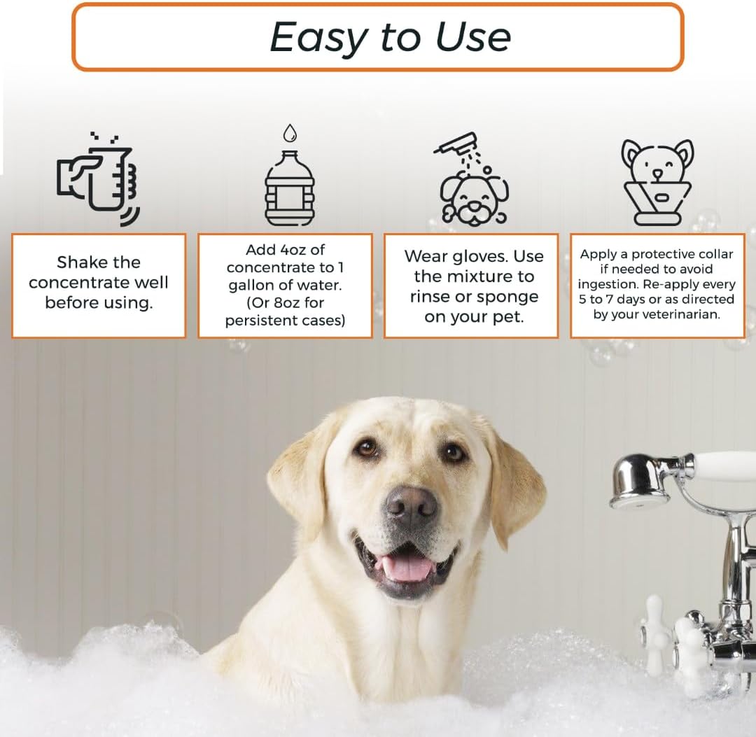 Lime Sulfur Dip and Antiparasitic & Antiseborrheic Sulfur Salicylic Acid Dog Shampoo- 1 Gallon Each - Safe Solution for Itchy Skin, Hot Spots, Yeast & Mange - Healthy Paw Life