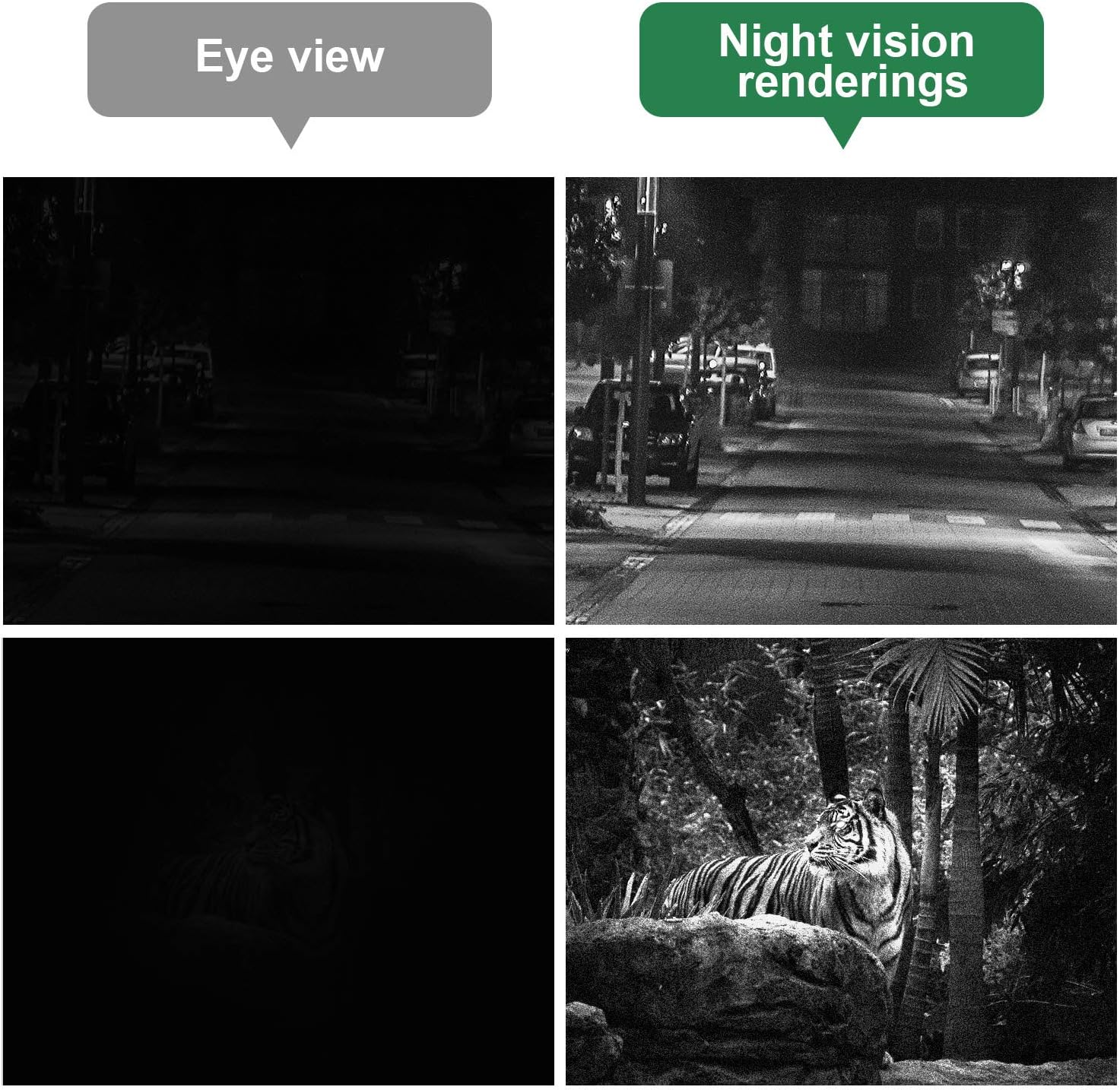 8x40 Infrared Night Vision Monocular Digital Camera with Video Playback USB Output Function for Hunting and Wildlife 200m in Darkness 8G TFCard