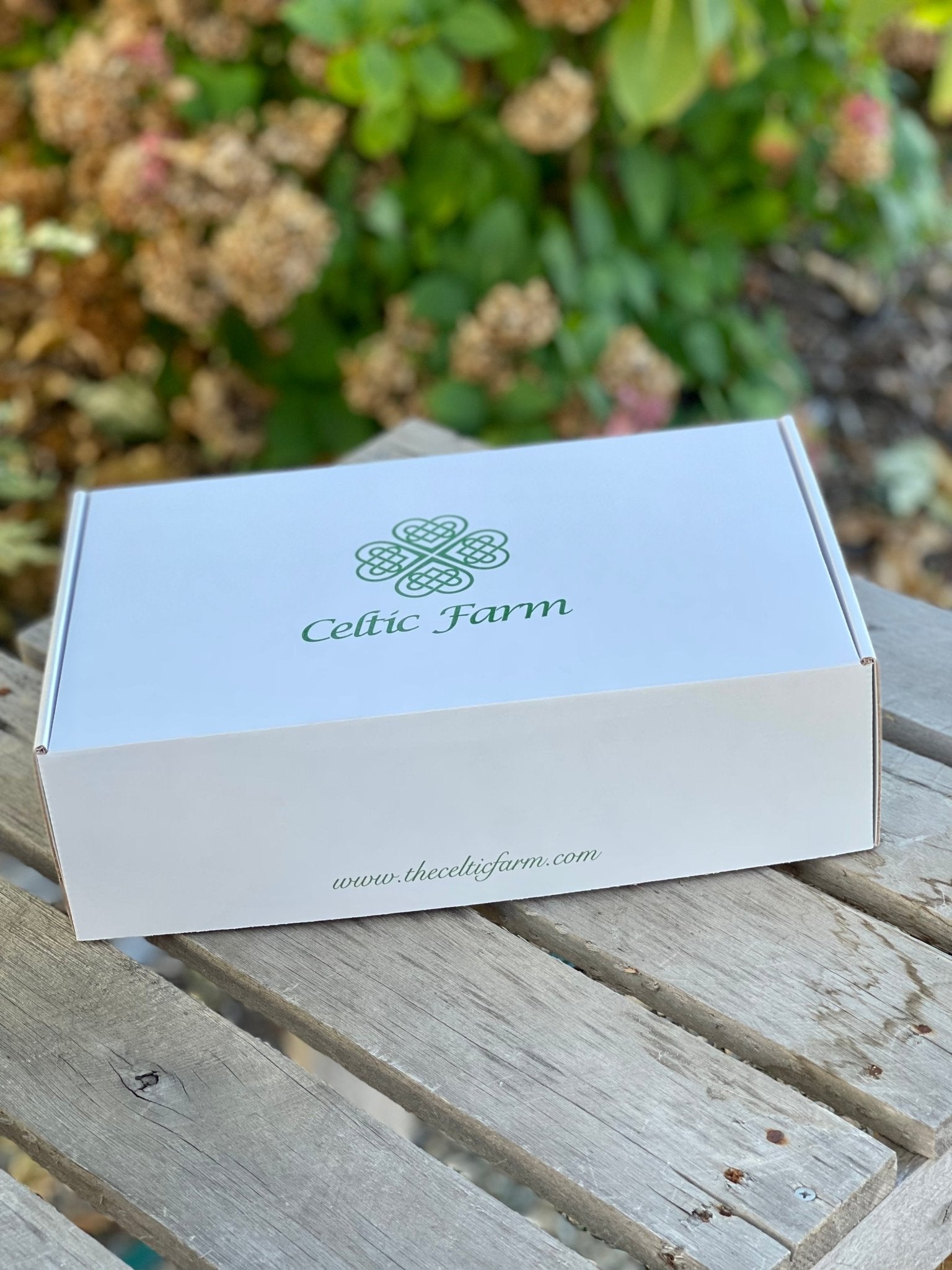 Daffodil Bulb Garden Gift Box