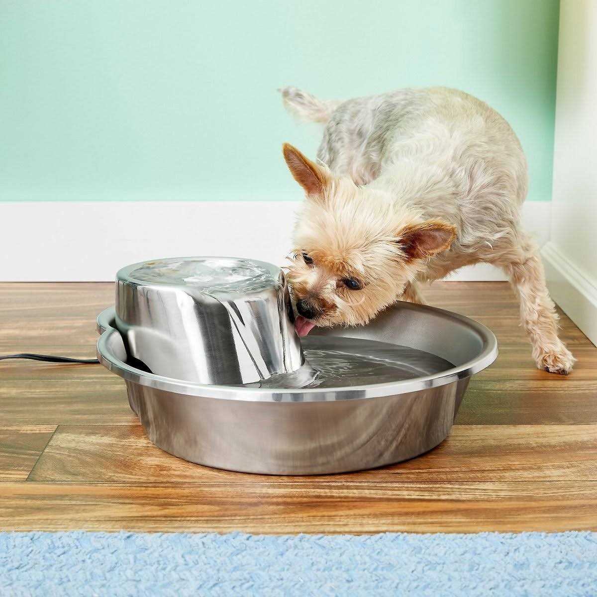 Pioneer Pet Big Max Stainless Steel Fountain - Pet Supplies online store