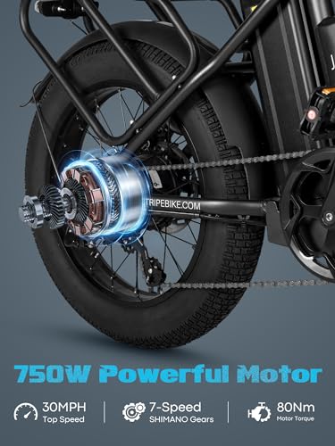 Electric Bike for Adults, 20.8Ah Removable Battery, Folding E-Bike with 750W Motor, 75+Miles Long Range, 4-6Hours Fast Charging, 7 Speed 20 x 4.0 Fat Tire Electric Horn, Class 2 Ebike