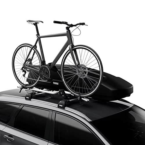 Thule Force Rooftop Cargo Box