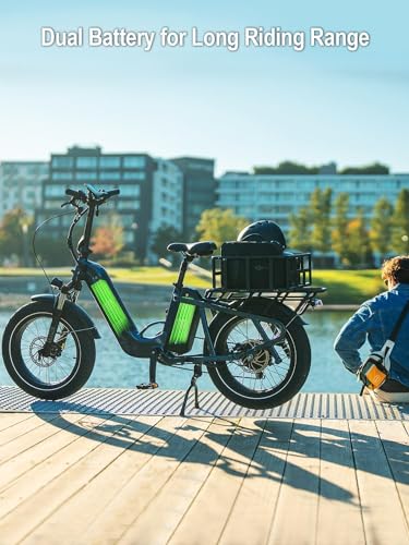 HAOQI Electric Bike for Adults, 750w Brushless Motor,48V 27.8Ah Dual Battery for 90-120 Miles Range,20 * 4" Fat Tire Cargo Ebike, 450lbs Weight Capacity with Front and Rear Baskets