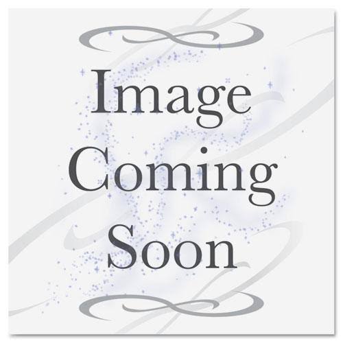 Everwipe Disinfectant Wipes, 6 x 8, 800-bag, 4 Bags-carton